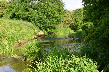 The River Mole in May in Horley in Surrey.