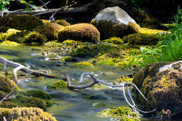 Small stream in an spring forest on the island of Gotland in Sweden