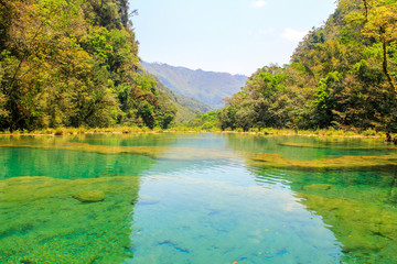 Semuc champey natural pool and .its turquoise waters from riverside
