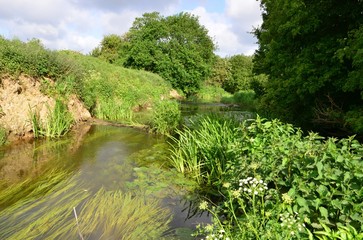 Fototapeta na wymiar The River Mole in May in Horley in Surrey.