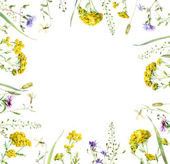 Watercolor frame of wild tansy flowers and other flowers