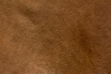 skin texture of a red cow, closeup. Natural product. 