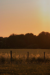 Campagne fran&ccedil;aise durant l'&eacute;t&eacute;