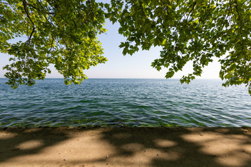 beautiful view over the Lake Constance in rorschach, switzerland, with overhanging tree