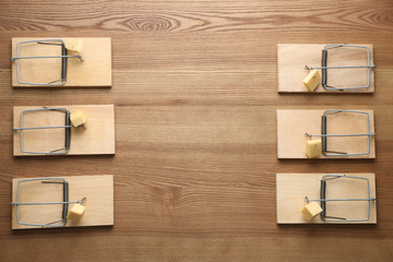 Mousetraps with pieces of cheese and space for text on wooden background, flat lay. Pest control