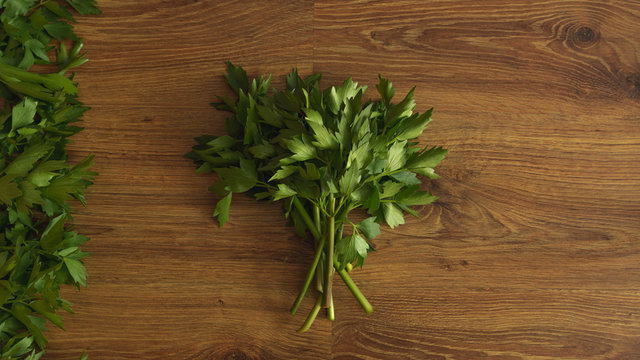 Food background with fresh spring lovage leaves
