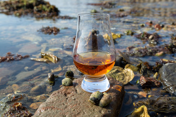 Tasting glass of Scotch whisky and sea shore during low tide, smoky whisky pairing with oysters
