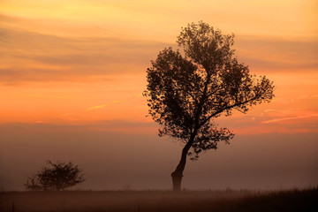 Fototapeta na wymiar Colorful sunrise by the field, Poland.
