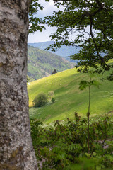 Erlebnis Rundweg Muggenbrunn Black Forest Schwarzwald Germany