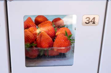 Fresh ripe sweet pink lambada strawberry in plastic boxes for sale in automatic vending machine