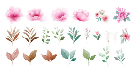 Floral elements vector set. Botanic individual elements of pink and purple flowers, leaf, branch. Botanic illustration for wedding, greeting card, or logo composition vector