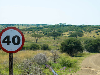 Speed limit 40 sign on the African road, Spioenkop Dam Nature Reserve, South africa