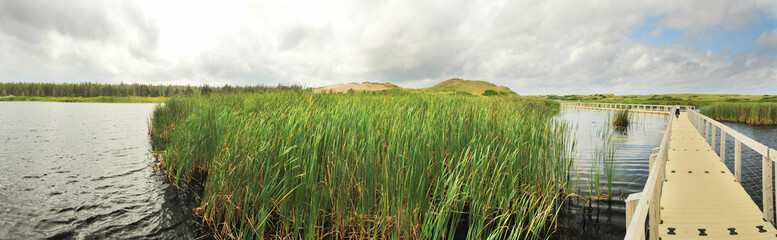 Sand dunes. Cavendish Beach, PEI National Park, Prince Edward Island, Canada