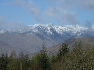 Snow capped mountains over conifers
