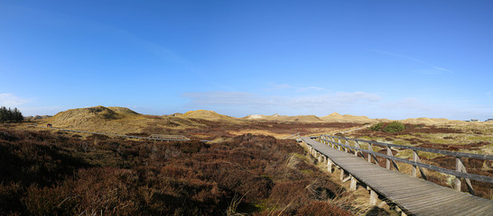 Amrum Northern Germany North Frisian Island wooden footpaths in the dunes with people walking