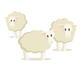 Flock of three sheep. Colorful flat vector illustration, isolated on white background.