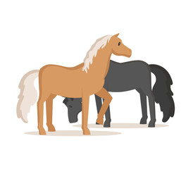 Horses grazing. Colorful flat vector illustration, isolated on white background.