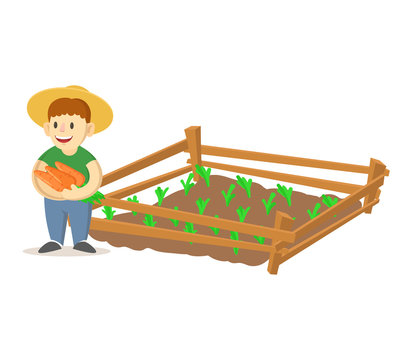Smiling farmer boy wearing straw hat holding carrots and growing plants in garden beds. Homegrown vegetables, eco friendly farming. Colorful flat vector illustration, isolated on white background.