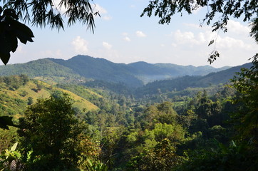 Impression of a beautiful trekking tour around CHiang Rai