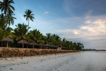 tropical beach with palm trees © Tomasz