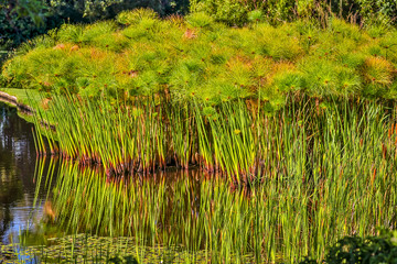 Cape of Good Hope, South Africa