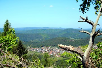 Obraz premium Pfälzerwald im Frühling