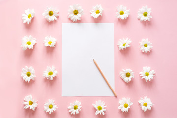 Workspace with paper for notes, chrysanthemum flowers on pink. Flat lay, top view