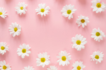 Fototapeta na wymiar Round frame made of white daisy flowers buds on pink background. Flat lay, top view. Spring blog concept