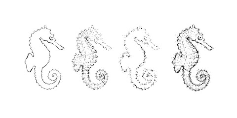 Hand drawn seahorse constuctor. Outline sea design element with dots. © olechkaart