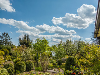 Fototapeta na wymiar spring in the garden, panorama of trees with cumulus clouds above them