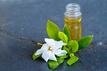 Jasmine essential oil. organic Aromatic Jasmine oil. SPA.