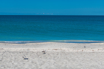 Fototapeta na wymiar Florida Beach 1