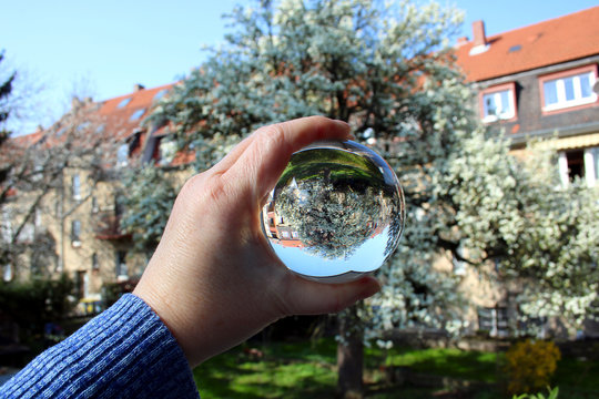 Bl&uuml;hende B&auml;ume im Fr&uuml;hling