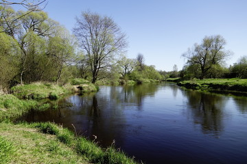 Fototapeta na wymiar Landscape in May with a shallow river and trees just springing leaves