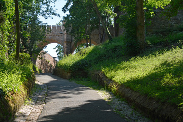 bingen, weg zur burg klopp