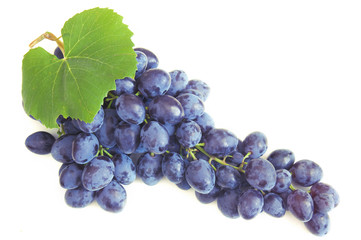 Tasty juice Grapes branch isolated on white background