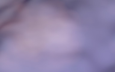 Fototapeta premium Purple blue abstract background. Colorful blurred backdrop. 3D illustration