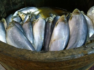 Tasty herring fish in a wooden board. Boxed salted herrings. Clupea harengus. The concept of supply...