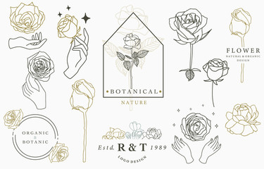 rose logo collection with leaves,geometric,circle,square frame.Vector illustration for icon,logo,sticker,printable and tattoo - obrazy, fototapety, plakaty