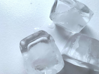 Obraz premium Melting Ice and Bougainvillea White Background