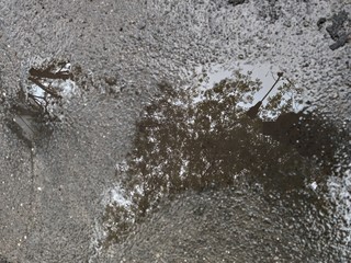 A meadow with a reflection after the rain. Wet black asphalt.