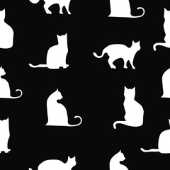 white cat on black background