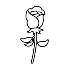 rose flower line style icon