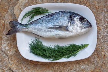 Mediterranean seafood. Fresh raw fish of sea bream on a white dish with dill leaves. Flat lay. Stone background
