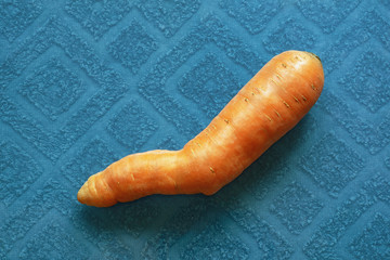 Fresh curved carrot on a blue background. Strange vegetables
