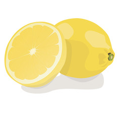 Fresh lemon fruits. Lemon vector illustration set. Whole, cut in half, sliced on pieces lemons.Lemon logo or icon.