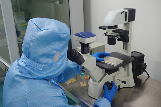 Scientists conduct clinical trials of the covid-19 vaccine in a biological laboratory, where biochemical analysis is performed to see if the cells produce antibodies and an immune response.