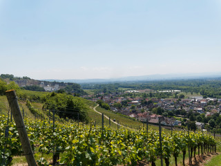 Fototapeta na wymiar Merkwürdigkeiten der Natur um Istein in Baden-Württemberg. Seine Weinberge mit historische Fachwerkhäuser über die Rheinauen