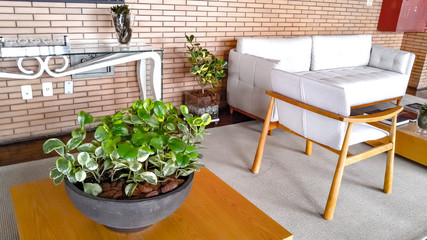 Fototapeta na wymiar modern living room with flowers
