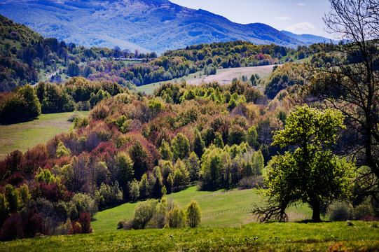 Bieszczadzkie klimaty